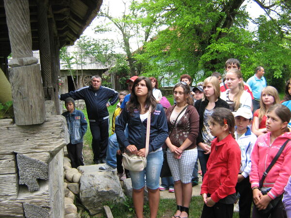 Oltenia 2012